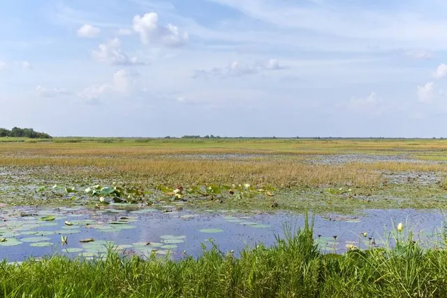 Lacassine National Wildlife Refuge