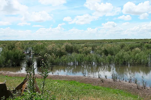 Humedal Cerro de las Cigueñas