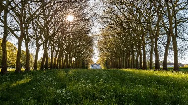 Château de Jossigny