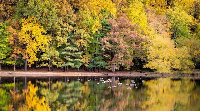 Wheaton Regional Park