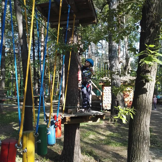 place image