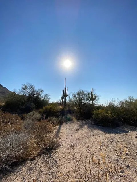 Usery Mountain Regional Park