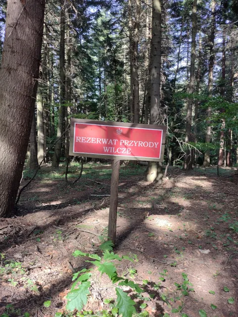 Rezerwat przyrody Wilcze