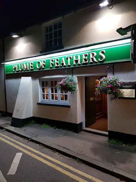 The Plume Of Feathers, Weedon