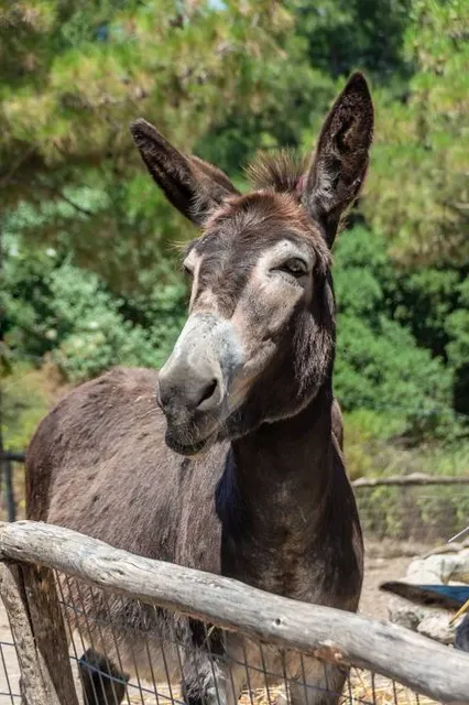 Aoubré l'Aventure Nature