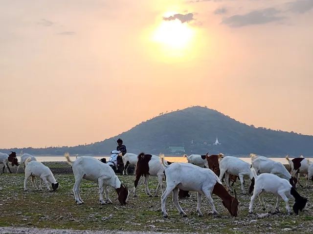 นิวซีแลนด์เมืองไทย แห่งแรกบ้านท่าฤทธิ์