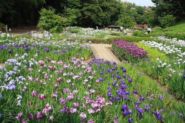 Kameyama Park