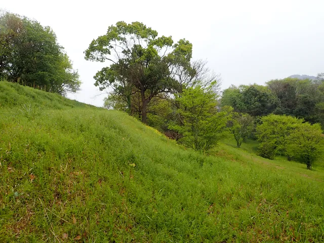 Uto Old Castle Ruins