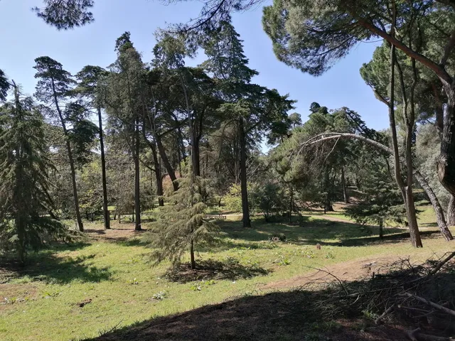 Park José Gomes Ferreira