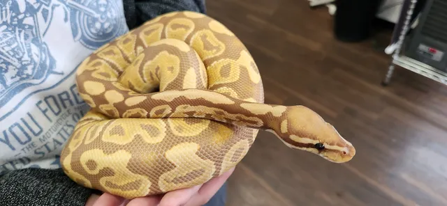 爬虫類館 北のレプ舎