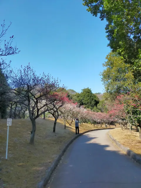 Minami Park