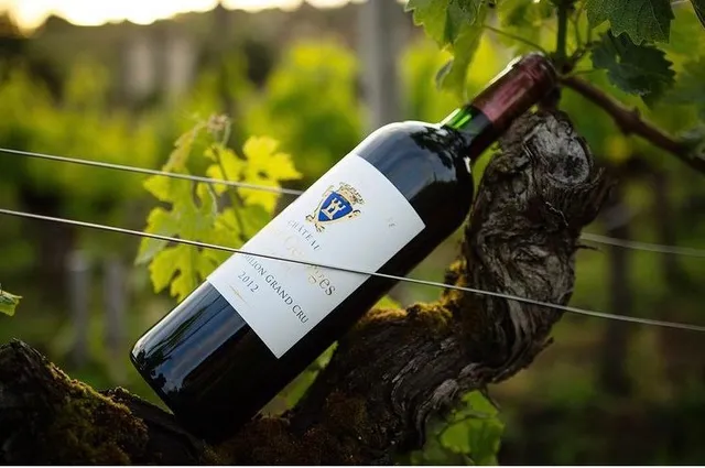 Château Saint Georges - Côte Pavie