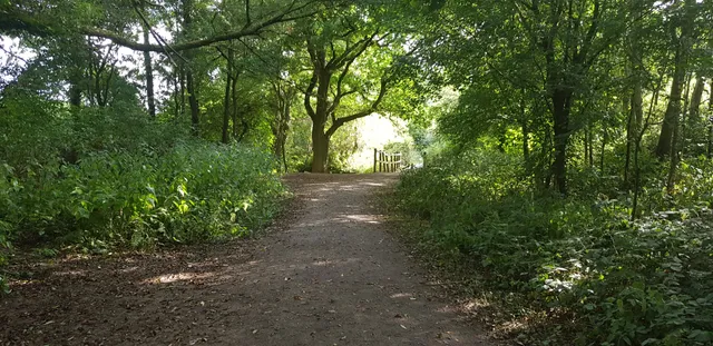 Warmley Forest Park