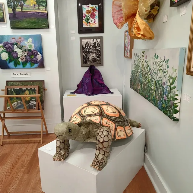 Harmony Collective Artist Gallery