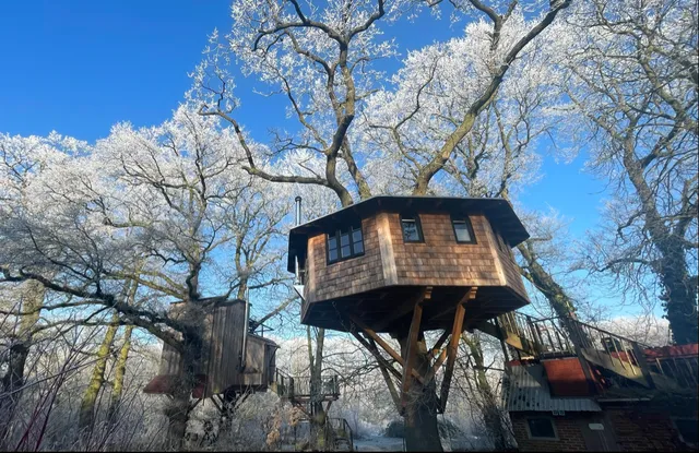 Baumhaus-Herberge Bockhop