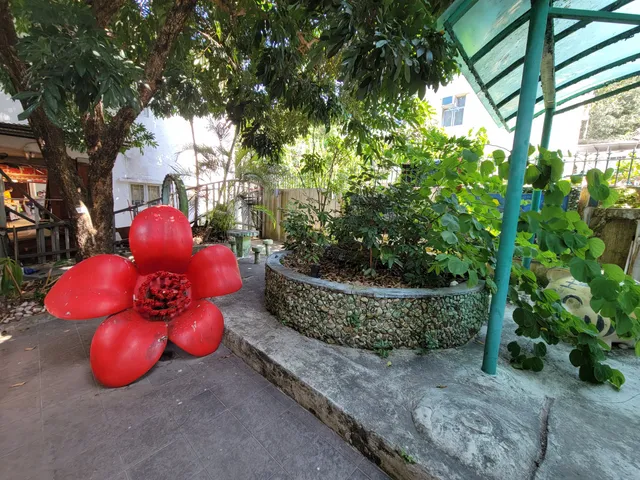 photo-3