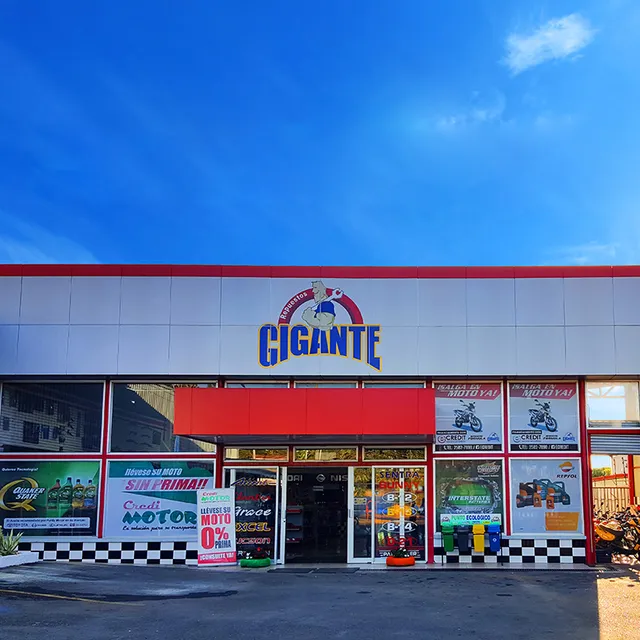 Repuestos Gigante