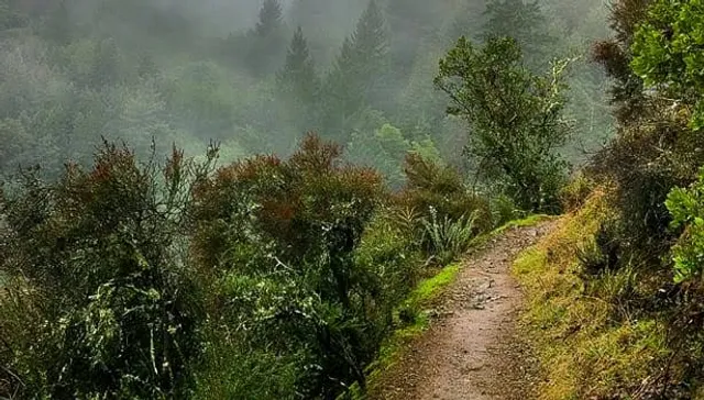 photo-2