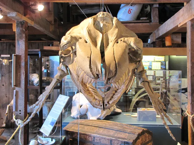 Whale Interpretive Centre