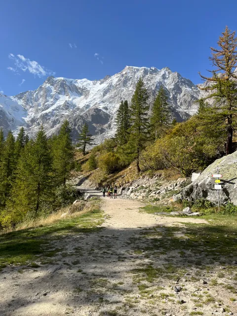 photo-1
