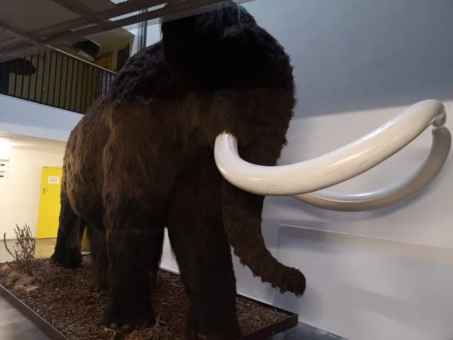 State Office of Archeology