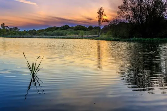 Half Moon Pond State Park
