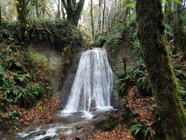 Coal Creek Natural Area