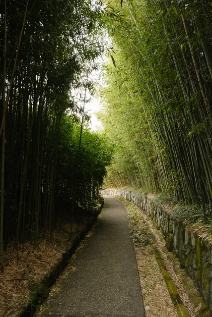 Kyoto City Rakusai Bamboo Park