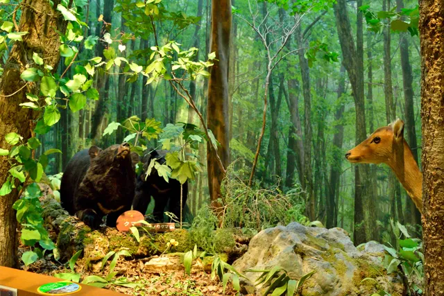 Nikko Natural Science Museum