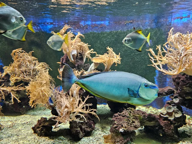 Tetra-Aquarium und Terrarium im Zoo Osnabrück