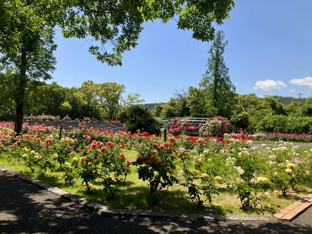 Kasugaike Park