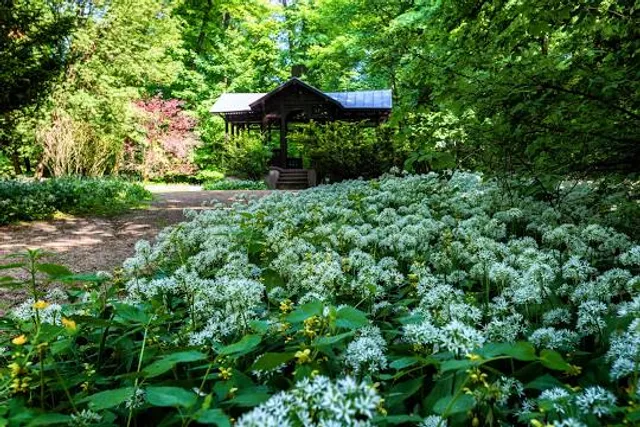 South Carolina Botanical Garden