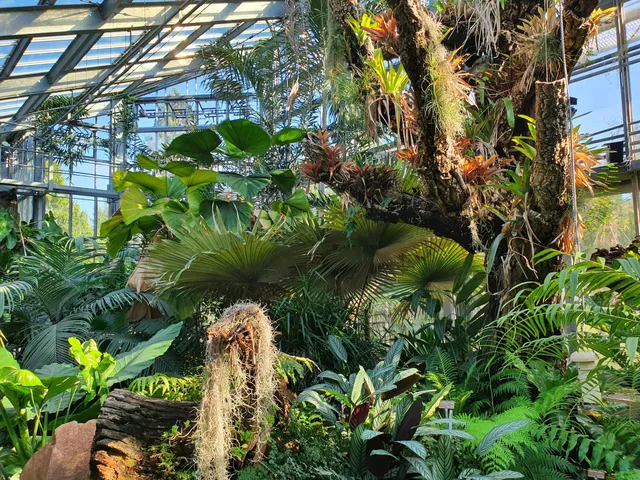 Geneva Botanical Garden - Tropical Greenhouse