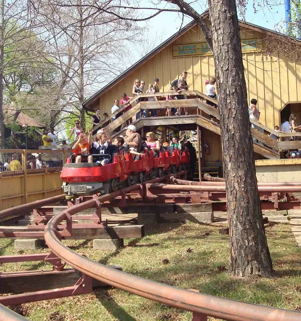 Mini Mine Train
