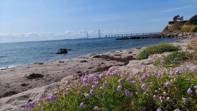 Stranden ved Værftet