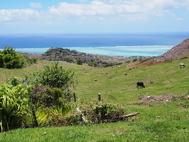 Tyrodrig, tyrolienne