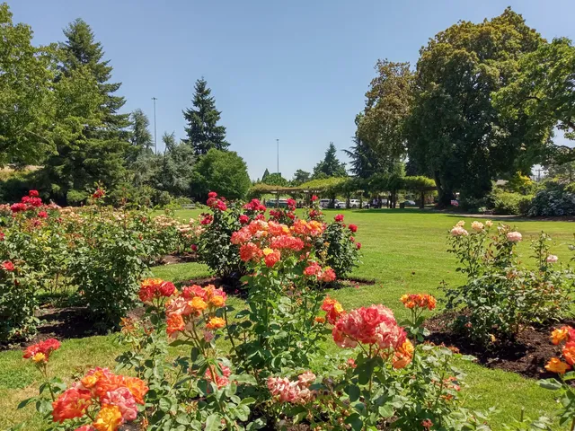 Owen Rose Garden
