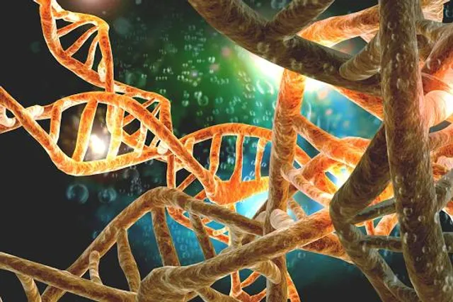 Lee Kong Chian Natural History Museum, Singapore