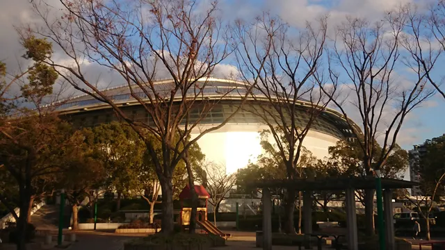 Yahataya Park office