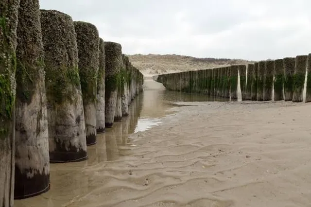 Réserve naturelle du romelaere