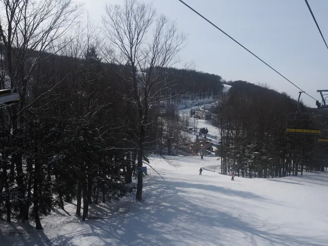 photo-2