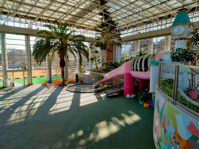photo-1