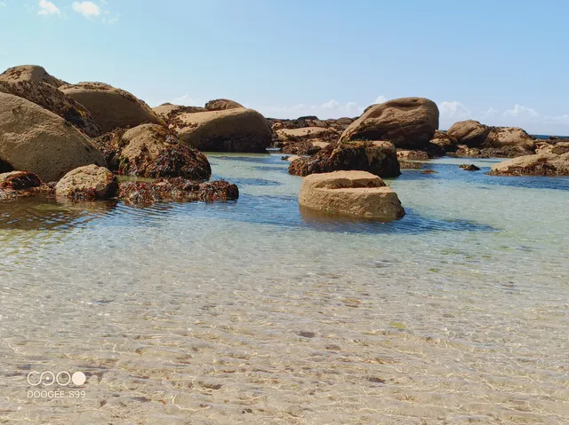 La plage aux rochers