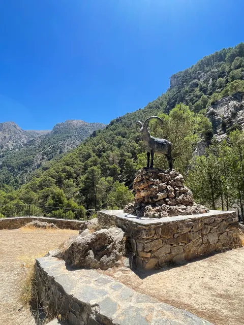 Area Recreativa el Rio