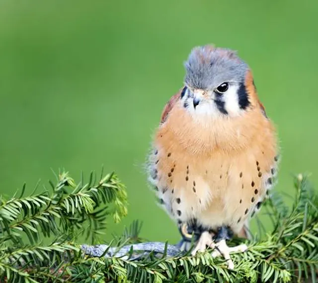 Tackapausha Nature Preserve