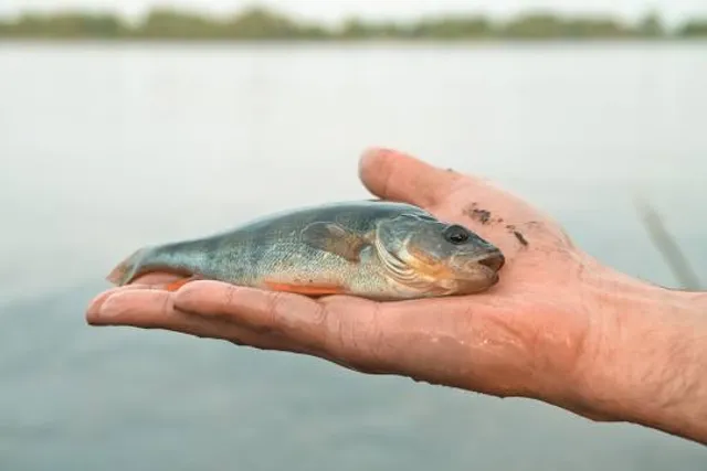 Solomontown Beachfront