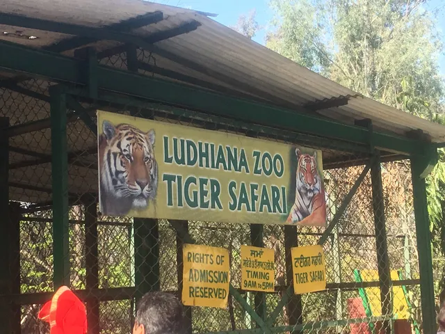 Ludhiana Zoo Tiger Safari