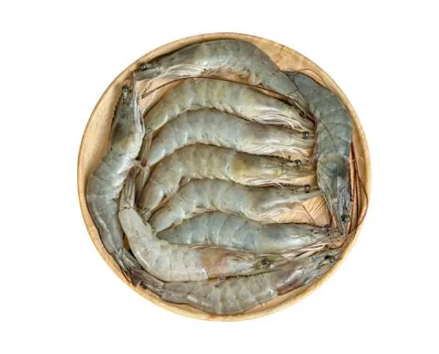 Staunton Country Park