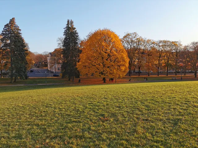 Torshov Park, Oslo