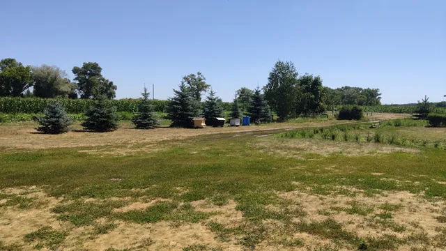 Zelena Sadyba Blahodatne